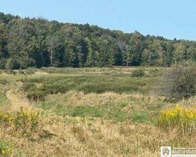 980 ft Agriculture Property For Sale in CLYMER, NY