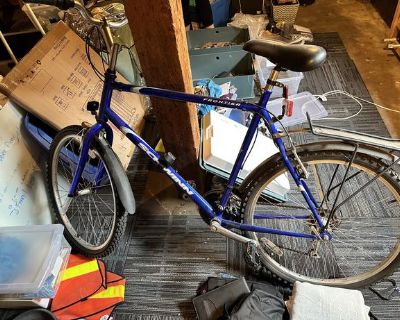 Adult Bike with two Paniers
