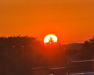 Available on: now. Unfurnished. Pet friendly. Parking available * Internet included * Accessible property * Cat friendly * Dog friendly * Children friendly * Students welcome * 40+ years welcome Sarah will require background checks for this room Learn more. New modern complex 3 bedroom apartment. Fully furnished other than room. Stores and restaurants in walking distance. Quiet and comfortable ...