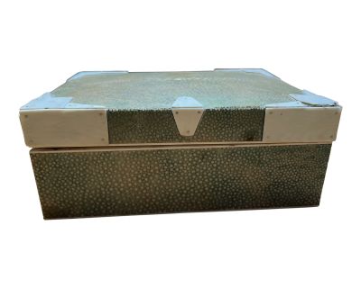 Early 20th Century Antique Shagreen Table Box With Bone Edging