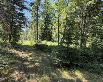 Land For Sale in SANDPOINT, ID
