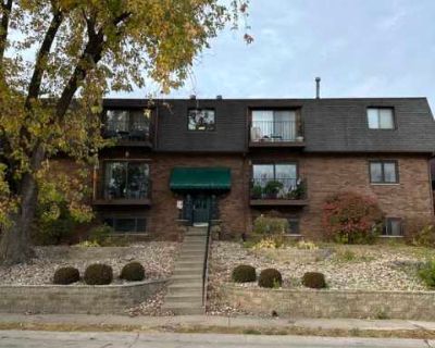 2 Bedroom 1BA 825 ft Furnished Pet-Friendly Apartment For Rent in Rock Island, IL