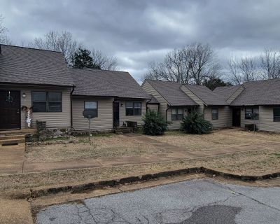 1 Bedroom 1BA 600 ft Pet-Friendly Apartment For Rent in Horseshoe Bend, AR