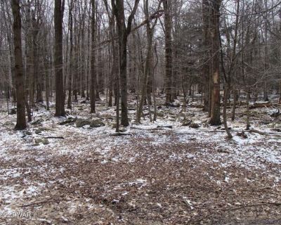 Unimproved Land For Sale in NEWFOUNDLAND, PA