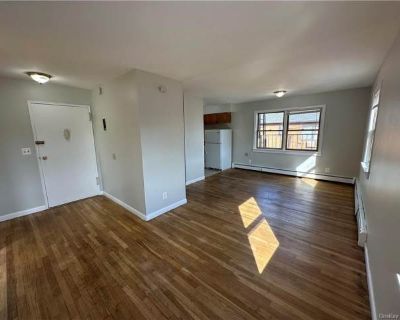 1 Bedroom 1BA 550 ft Apartment For Rent in Nyack, NY