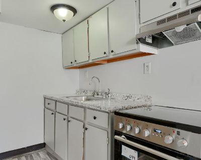 1 Bedroom 1BA 550 ft Pet-Friendly Apartment For Rent in Baltimore, MD