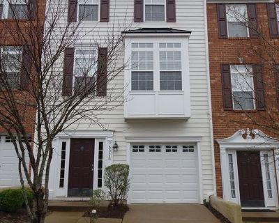4 Bedroom 3BA 2334 ft Pet-Friendly Single-family home For Rent in Williamsburg, VA