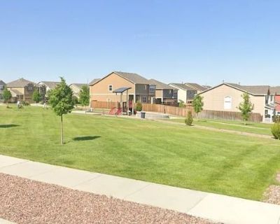 Felix (Has a House) on iROOMit. Room in the 4 Bedroom 3BA Pet-Friendly...