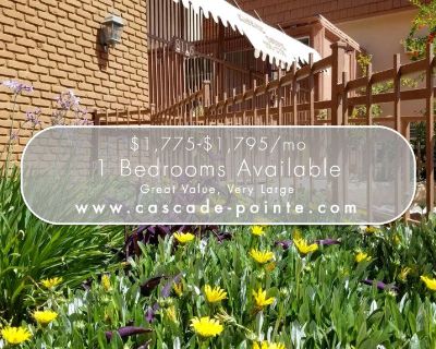 Very Large 1 Bed/1 Bath - Great Value, Large Patio