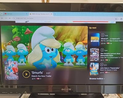 Sony Bravia 32" LCD TV & wall mount