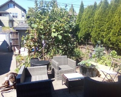 I am neurodivergent, AudHD. Formerly extroverted. Currently appreciative of a calm and creative environment. I work in my garden a lot, which gets better every year. Have a lot of repetitive stress injuries so the multiple home improvement projects are mostly due to chronic pain issues causing me to stop a particular action and move on to another until that motion causes the discomfort to initi...