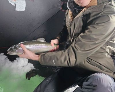 Rylam - Needs an Apartment on iROOMit or a Room