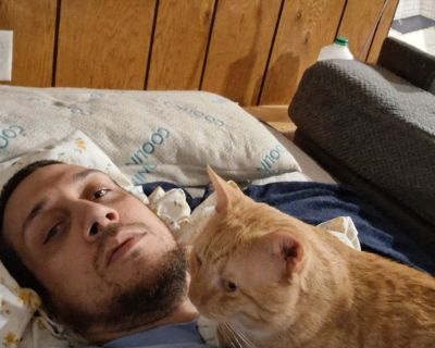 31 birthday is 12/24/1993 Every time I would put December it wouldn't let me click it.. but I work commission-based monday through friday depending on the day sometimes weekends I work. Two brother cats and the most happy go lucky bully pitt he is not aggressive what so ever ive never even seen him go after a butterfly. Just looking for a place to call home till I can save enough money up for m...