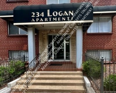 1 Bedroom 1BA 600 ft Pet-Friendly Apartment For Rent in Denver, CO