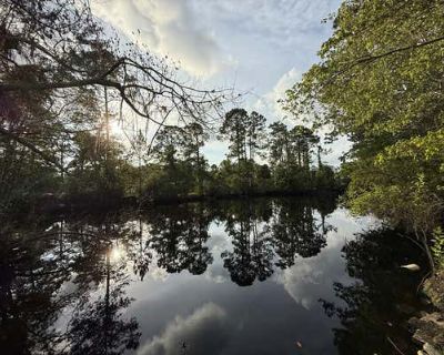 Unimproved Land For Sale in OLD TOWN, FL