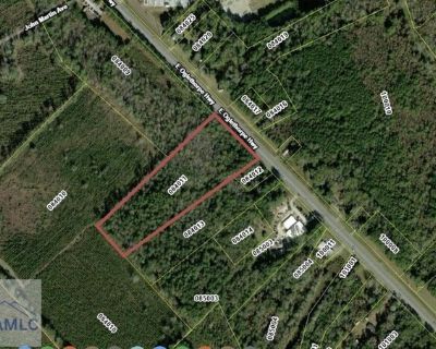 . Ac East Oglethorpe Hwy, Flemington, Plot For Sale