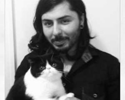 Dave Carmocan, 39 years, Male. Looking in: Seattle, King County, WA