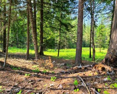 Land For Sale in SAGLE, ID