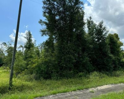 Land For Sale in Marianna, FL