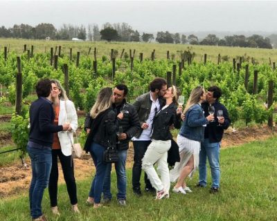 Napa Valley Wine Tours near San Francisco