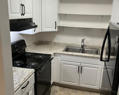 3 Bedroom 1BA 1000 ft Apartment For Rent in Dayton, OH