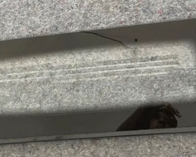 MAYTAG RANGE UPPER OVEN GLASS DOOR 29 3/4 X 9   PART# 12002454