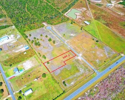 Harmony St Lot,wewahitchka, Plot For Sale