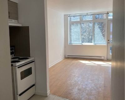 0 Bedroom 1BA Apartment For Rent in Montr al, Qu bec