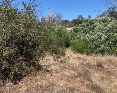 1 Bedroom Vacant Lot For Sale in Paradise, CA