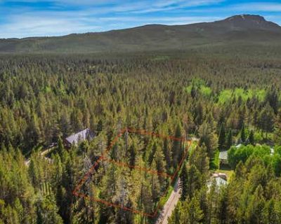 Unimproved Land For Sale in ISLAND PARK, ID