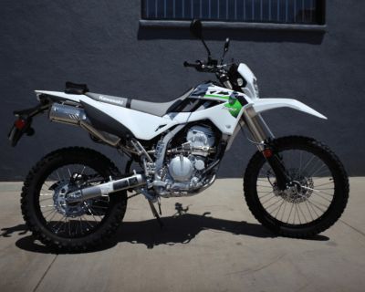 2026 Kawasaki KLX 300
