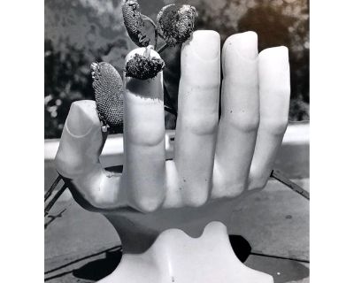 Naomi SavagePhoto Of Pedro Friedeberg Hand Chair Vintage Silver Gelatin Photograph, 1981