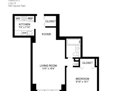 1 Bedroom 1BA 540 ft Condo For Rent in Bronx, NY