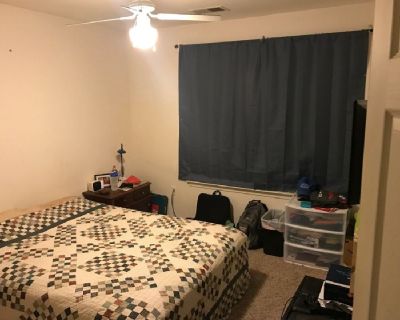 1 bedroom in a 4 bedroom apartment. Private bathroom in bedroom. Walk in closet. Washer/dryer in unit. Pet friendly. Currently has 2 males and 1 female living there. Available March 1 until July 31.