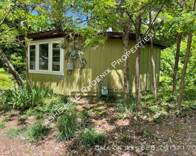 1 Bedroom 1BA Pet-Friendly Apartment For Rent in Asheville, NC