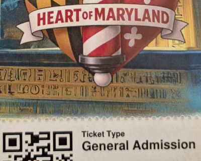 Night At The Harmony Museum