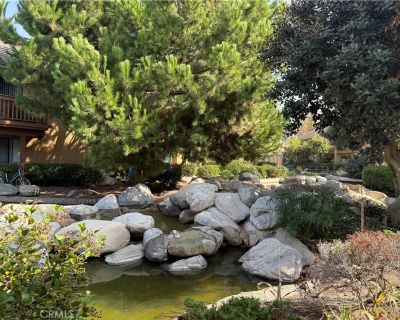 1 Bedroom 1BA 722 ft House For Rent in Irvine, CA