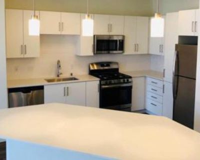 3 Bedroom 2BA 1,330 ft Furnished Pet-Friendly Apartment For Rent in Las Vegas, NV