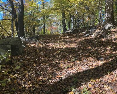 Lots and Land For Sale in Ridgefield, CT