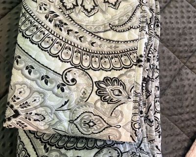 F221 Full Size Comforter with two shames