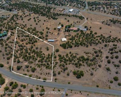 Single Family Home For Sale in CAPITAN, NM