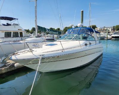 Sea Ray 290 Sundancer