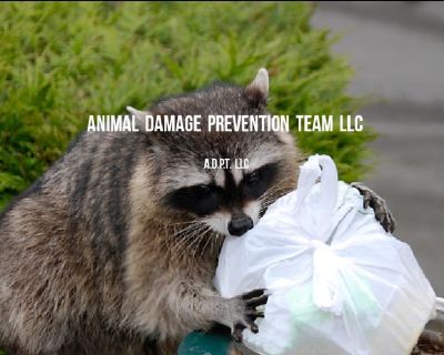 Animal Damage Prevention Team LLC