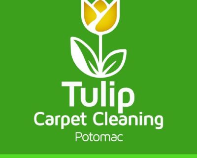 Tulip Carpet Cleaning Potomac