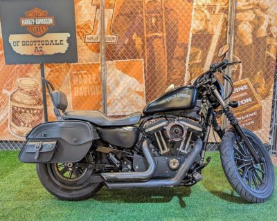 2015 Harley-Davidson XL883N - Sportster Iron 883