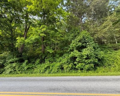 Bog Hollow Rd, Wassaic, Plot For Sale