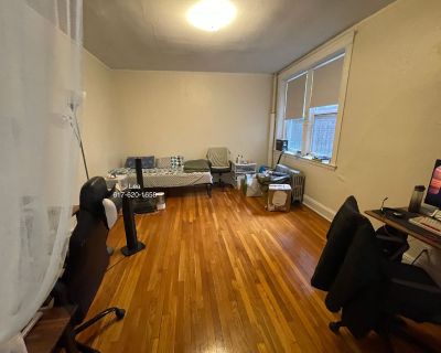 1 Bedroom 1BA 600 ft Pet-Friendly House For Rent in Brighton, MA