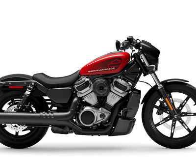 2022 Harley-Davidson Nightster Sportster Kingsport, TN