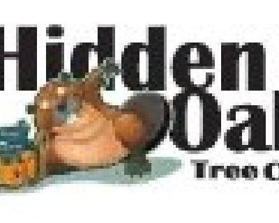 Hidden Oak Tree Care