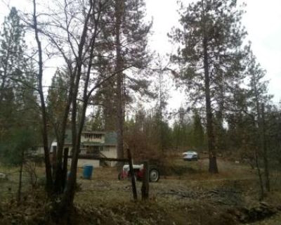 3 Bed 2 Bath Preforeclosure Property in Coulterville, CA 95311 - Dogtown Rd